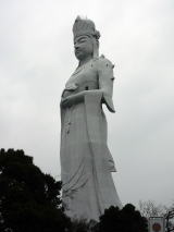 �����p�ω�